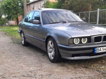 БМВ 5 Серія 1995 у Александрие на Automoto.ua Сірий БМВ 5 Серія, об'ємом двигуна 2.8 л та пробігом 250 тис. км за 3100 $, фото 1 на Automoto.ua