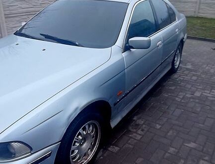 БМВ 5 Серія 1996 у Ирпене на Automoto.ua Сірий БМВ 5 Серія, об'ємом двигуна 25 л та пробігом 395 тис. км за 2600 $, фото 1 на Automoto.ua