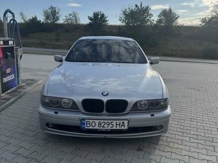 БМВ 5 Серия 1997 в Волочиске на Automoto.ua Серый БМВ 5 Серия, объемом двигателя 2.5 л и пробегом 330 тыс. км за 3600 $, фото 1 на Automoto.ua