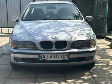 БМВ 5 Серия 1998 в Фастове на Automoto.ua Серый БМВ 5 Серия, объемом двигателя 2.49 л и пробегом 320 тыс. км за 4200 $, фото 1 на Automoto.ua
