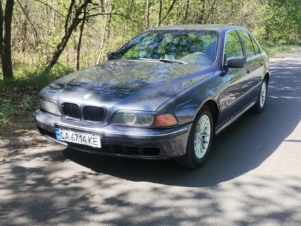 БМВ 5 Серия 1998 в Черкассах на Automoto.ua Серый БМВ 5 Серия, объемом двигателя 2.5 л и пробегом 358 тыс. км за 3900 $, фото 1 на Automoto.ua
