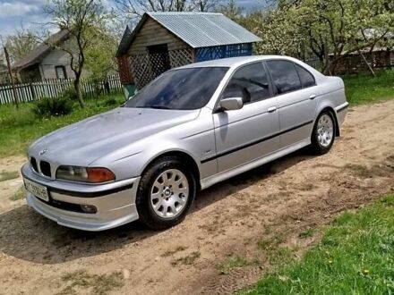 Сірий БМВ 5 Серія, об'ємом двигуна 2.5 л та пробігом 390 тис. км за 3850 $, фото 1 на Automoto.ua