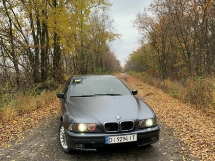 БМВ 5 Серія 2000 у Синельниковом на Automoto.ua Сірий БМВ 5 Серія, об'ємом двигуна 2.5 л та пробігом 316 тис. км за 3200 $, фото 1 на Automoto.ua