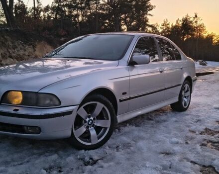 Сірий БМВ 5 Серія, об'ємом двигуна 2.9 л та пробігом 350 тис. км за 4900 $, фото 1 на Automoto.ua