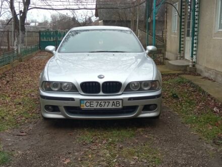 БМВ 5 Серия 2001 в Черновцах на Automoto.ua Серый БМВ 5 Серия, объемом двигателя 3 л и пробегом 378 тыс. км за 6800 $, фото 1 на Automoto.ua