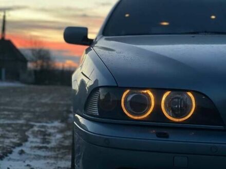 Сірий БМВ 5 Серія, об'ємом двигуна 2.5 л та пробігом 390 тис. км за 5800 $, фото 1 на Automoto.ua