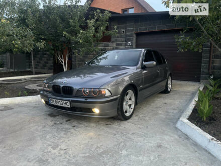 БМВ 5 Серія 2003 у Вараш (Кузнецовськ) на Automoto.ua Сірий БМВ 5 Серія, об'ємом двигуна 3 л та пробігом 323 тис. км за 12900 $, фото 1 на Automoto.ua