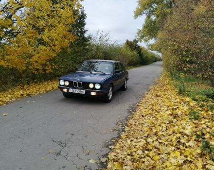 Синій БМВ 5 Серія, об'ємом двигуна 2.4 л та пробігом 460 тис. км за 1200 $, фото 6 на Automoto.ua