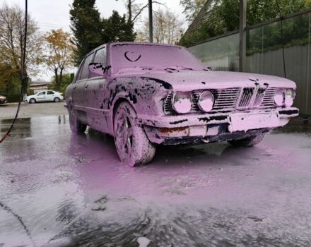 Синій БМВ 5 Серія, об'ємом двигуна 2.4 л та пробігом 460 тис. км за 1200 $, фото 2 на Automoto.ua