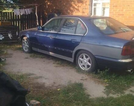 Синий БМВ 5 Серия, объемом двигателя 2.5 л и пробегом 288 тыс. км за 2800 $, фото 8 на Automoto.ua