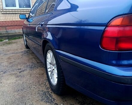 Синий БМВ 5 Серия, объемом двигателя 2.5 л и пробегом 370 тыс. км за 4999 $, фото 4 на Automoto.ua