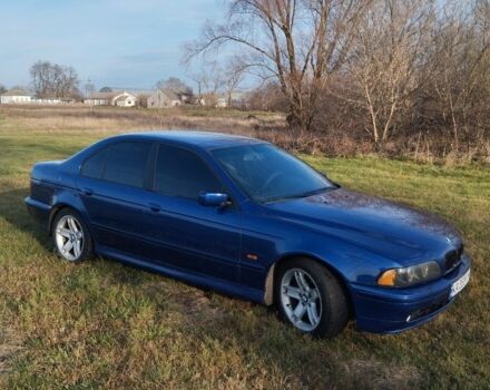 Синій БМВ 5 Серія, об'ємом двигуна 2.5 л та пробігом 360 тис. км за 4000 $, фото 2 на Automoto.ua