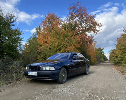 Синий БМВ 5 Серия, объемом двигателя 2.5 л и пробегом 370 тыс. км за 4850 $, фото 6 на Automoto.ua