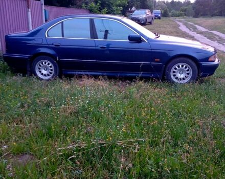 Синий БМВ 5 Серия, объемом двигателя 2 л и пробегом 340 тыс. км за 3650 $, фото 2 на Automoto.ua