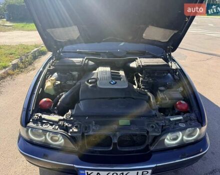 Синий БМВ 5 Серия, объемом двигателя 3 л и пробегом 380 тыс. км за 5300 $, фото 9 на Automoto.ua