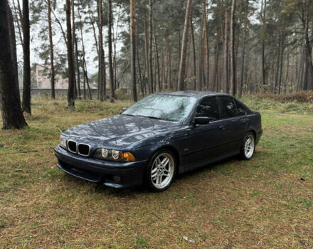 Синий БМВ 5 Серия, объемом двигателя 2.93 л и пробегом 368 тыс. км за 9200 $, фото 11 на Automoto.ua