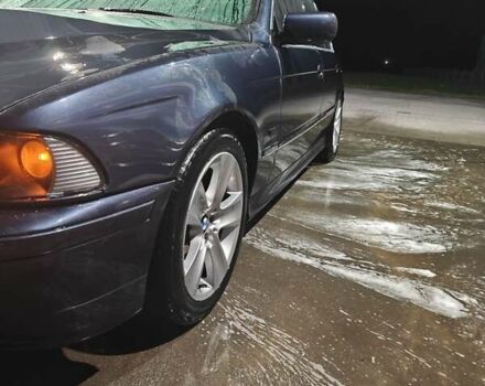 Синий БМВ 5 Серия, объемом двигателя 2.5 л и пробегом 425 тыс. км за 6499 $, фото 3 на Automoto.ua