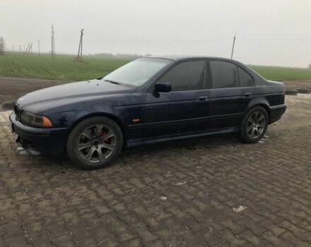 Синий БМВ 5 Серия, объемом двигателя 3 л и пробегом 250 тыс. км за 3500 $, фото 2 на Automoto.ua
