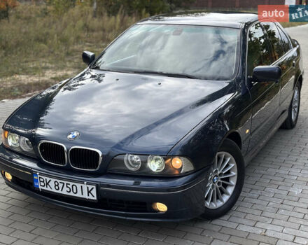 Синій БМВ 5 Серія, об'ємом двигуна 2.5 л та пробігом 409 тис. км за 6499 $, фото 4 на Automoto.ua