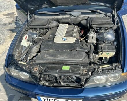 Синий БМВ 5 Серия, объемом двигателя 2.5 л и пробегом 350 тыс. км за 3500 $, фото 2 на Automoto.ua