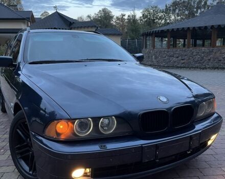 Синий БМВ 5 Серия, объемом двигателя 2.9 л и пробегом 500 тыс. км за 3749 $, фото 1 на Automoto.ua