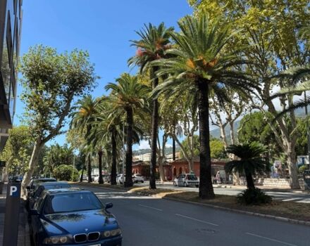 Синий БМВ 5 Серия, объемом двигателя 2.9 л и пробегом 325 тыс. км за 9500 $, фото 4 на Automoto.ua