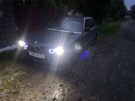 БМВ 5 Серія 1985 у Буске на Automoto.ua Синій БМВ 5 Серія, об'ємом двигуна 2.4 л та пробігом 250 тис. км за 1299 $, фото 1 на Automoto.ua