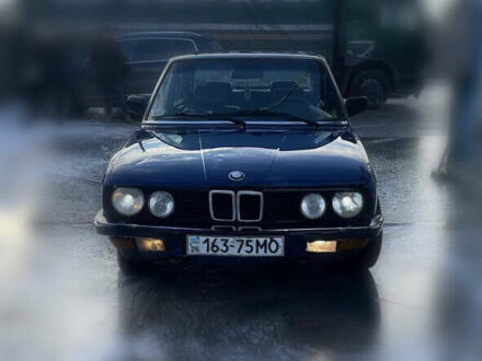 БМВ 5 Серия 1987 в Красилове на Automoto.ua Синий БМВ 5 Серия, объемом двигателя 2.4 л и пробегом 300 тыс. км за 1200 $, фото 1 на Automoto.ua