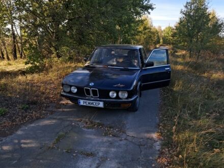 Синий БМВ 5 Серия, объемом двигателя 2 л и пробегом 250 тыс. км за 1800 $, фото 1 на Automoto.ua