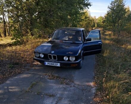 Синий БМВ 5 Серия, объемом двигателя 2 л и пробегом 250 тыс. км за 1800 $, фото 1 на Automoto.ua