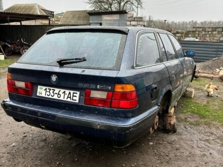 БМВ 5 Серия 1993 в Новомосковске на Automoto.ua Синий БМВ 5 Серия, объемом двигателя 2.5 л и пробегом 455 тыс. км за 727 $, фото 1 на Automoto.ua