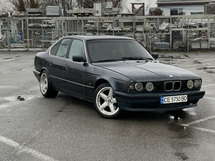 Синий БМВ 5 Серия, объемом двигателя 2.5 л и пробегом 380 тыс. км за 2699 $, фото 1 на Automoto.ua