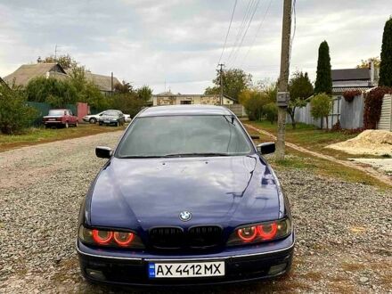 БМВ 5 Серия 1996 в Харькове на Automoto.ua Синий БМВ 5 Серия, объемом двигателя 2.5 л и пробегом 320 тыс. км за 4000 $, фото 1 на Automoto.ua