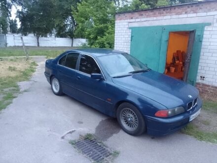 БМВ 5 Серия 1996 в Чернигове на Automoto.ua Синий БМВ 5 Серия, объемом двигателя 2.5 л и пробегом 310 тыс. км за 2000 $, фото 1 на Automoto.ua