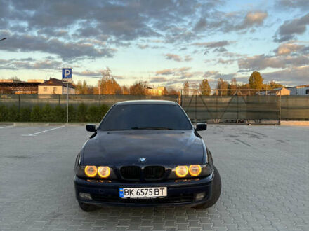 Синій БМВ 5 Серія, об'ємом двигуна 2.5 л та пробігом 350 тис. км за 3999 $, фото 1 на Automoto.ua