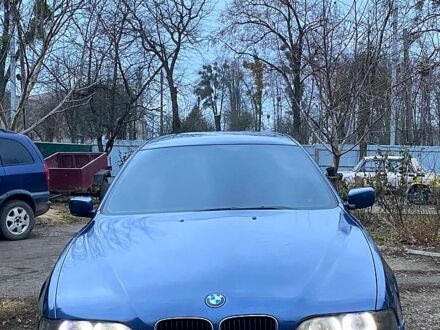 БМВ 5 Серія 1998 у Шполе на Automoto.ua Синій БМВ 5 Серія, об'ємом двигуна 2 л та пробігом 450 тис. км за 3500 $, фото 1 на Automoto.ua