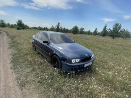 БМВ 5 Серия 1998 в Гребенке на Automoto.ua Синий БМВ 5 Серия, объемом двигателя 2 л и пробегом 3 тыс. км за 3500 $, фото 1 на Automoto.ua