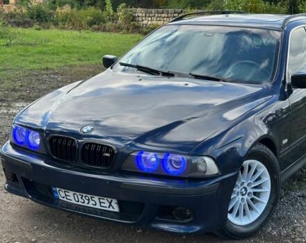Синий БМВ 5 Серия, объемом двигателя 2.5 л и пробегом 300 тыс. км за 3450 $, фото 1 на Automoto.ua