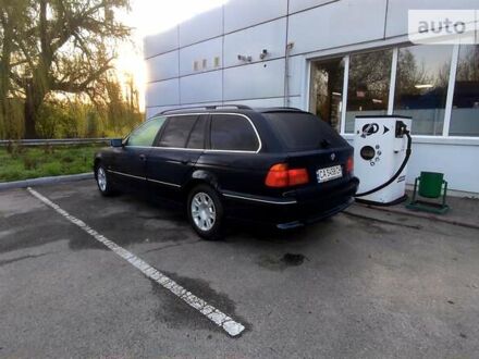БМВ 5 Серія 1999 у Смеле на Automoto.ua Синій БМВ 5 Серія, об'ємом двигуна 2 л та пробігом 354 тис. км за 3999 $, фото 1 на Automoto.ua