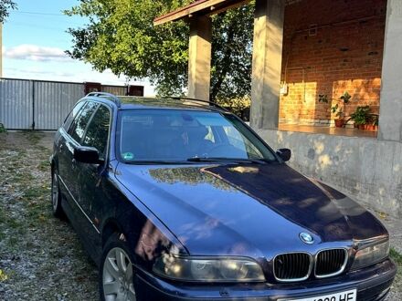 БМВ 5 Серия 1999 в Попольне на Automoto.ua Синий БМВ 5 Серия, объемом двигателя 2 л и пробегом 400 тыс. км за 3700 $, фото 1 на Automoto.ua