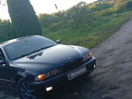 БМВ 5 Серия 1999 в Сарнах на Automoto.ua Синий БМВ 5 Серия, объемом двигателя 2.5 л и пробегом 350 тыс. км за 2600 $, фото 1 на Automoto.ua