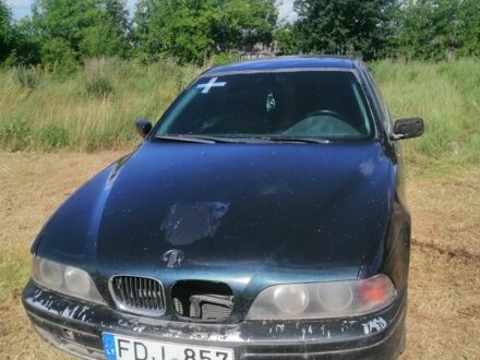 БМВ 5 Серія 1999 у Луцьку на Automoto.ua Синій БМВ 5 Серія, об'ємом двигуна 3 л та пробігом 1000 тис. км за 1550 $, фото 1 на Automoto.ua