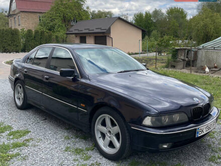 БМВ 5 Серія 1999 у Рівному на Automoto.ua Синій БМВ 5 Серія, об'ємом двигуна 2 л та пробігом 330 тис. км за 3550 $, фото 1 на Automoto.ua