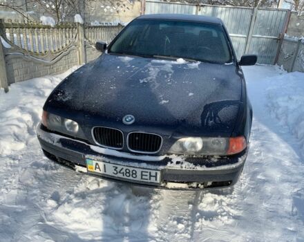 Синій БМВ 5 Серія, об'ємом двигуна 2.5 л та пробігом 236 тис. км за 2200 $, фото 1 на Automoto.ua