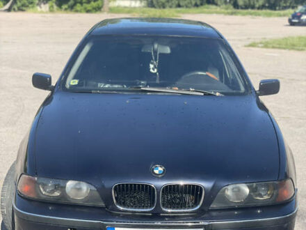 БМВ 5 Серия 2000 в Емильчином на Automoto.ua Синий БМВ 5 Серия, объемом двигателя 2.5 л и пробегом 425 тыс. км за 3000 $, фото 1 на Automoto.ua
