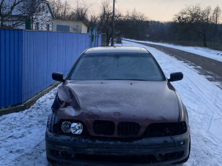 Синий БМВ 5 Серия, объемом двигателя 2.5 л и пробегом 417 тыс. км за 2500 $, фото 1 на Automoto.ua