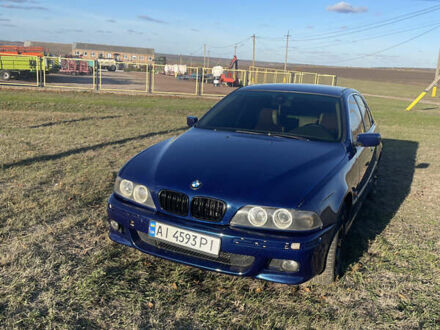 БМВ 5 Серия 2000 в Кропивницком (Кировограде) на Automoto.ua Синий БМВ 5 Серия, объемом двигателя 3 л и пробегом 370 тыс. км за 4200 $, фото 1 на Automoto.ua