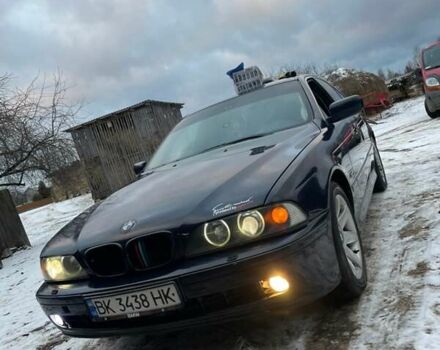 Синий БМВ 5 Серия, объемом двигателя 2.5 л и пробегом 330 тыс. км за 5200 $, фото 1 на Automoto.ua