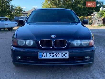 БМВ 5 Серия 2000 в Борисполе на Automoto.ua Синий БМВ 5 Серия, объемом двигателя 1.99 л и пробегом 375 тыс. км за 3500 $, фото 1 на Automoto.ua
