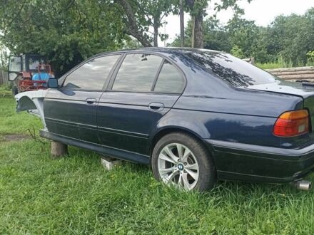 БМВ 5 Серія 2001 у Семеновке на Automoto.ua Синій БМВ 5 Серія, об'ємом двигуна 3 л та пробігом 1 тис. км за 2000 $, фото 1 на Automoto.ua